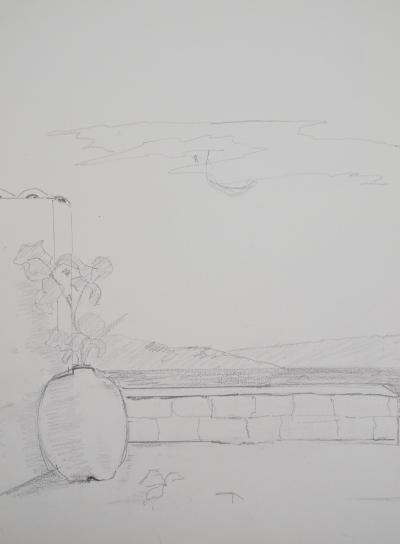 Lily MASSON : Anatomie de fleur  - Dessin au crayon original 2