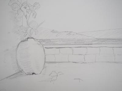 Lily MASSON : Anatomie de fleur  - Dessin au crayon original 2