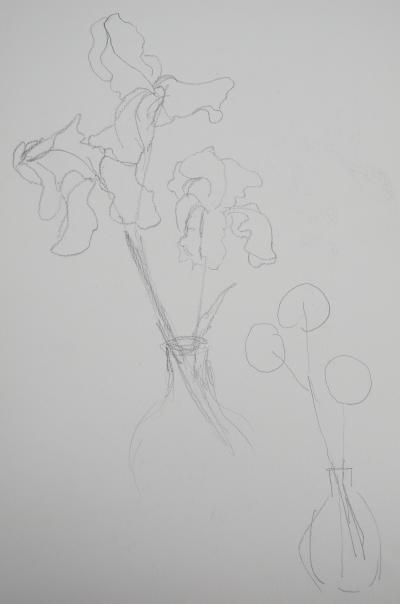 Lily MASSON : Hibiscus fleuri  - Dessin au crayon original 2