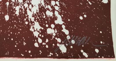 ARMAN - Colère de violon II, 1974 - Lithographie originale signée au crayon 2