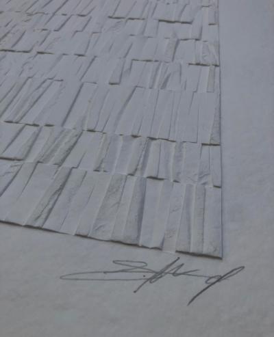 Guillaume ALLEMAND - Les Forêts, 2019 - Aquagravure originale signée au crayon 2