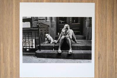 Elliott Erwitt - New York City, 2000, photographie signée 2