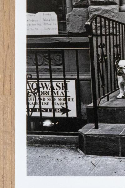 Elliott Erwitt - New York City, 2000, photographie signée 2