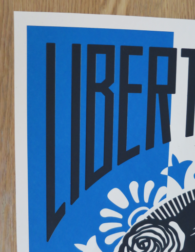 Shepard FAIREY (Obey) - Liberté Egalité Fraternité - Sérigraphie signée et numérotée au crayon 2