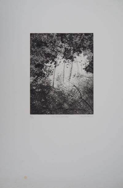Philippe MARTIN : Les trois bouleaux - Gravure originale signée 2