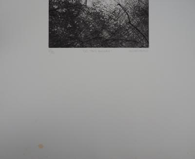 Philippe MARTIN : Les trois bouleaux - Gravure originale signée 2