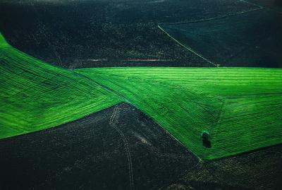 Yann ARTHUS-BERTRAND - Terres agricoles, 2005 - Photographie signée 2