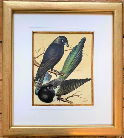 Cassell and Company - Canaris et oiseaux exotiques en cage 'Magpie', 1880 - Chromolithographie 2