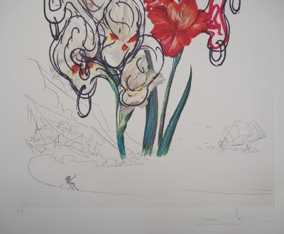Salvador Dali (1904-1989) Gladiolus und der Seemann Originallithographie 2