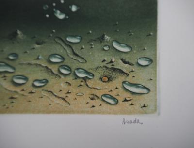 Hiroshi ASADA : Zen, Gouttes d’eau sur le sable - Gravure Originale Signée 2