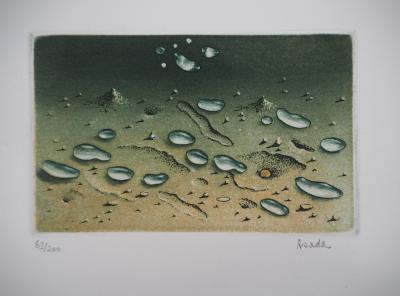 Hiroshi ASADA : Zen, Gouttes d’eau sur le sable - Gravure Originale Signée 2