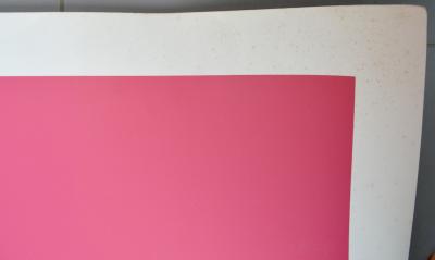 Jean Claude Floc’h - Francis Albany par Warhol, 1992 - Sérigraphie signée 2