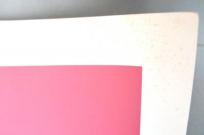 Jean Claude Floc’h - Francis Albany par Warhol, 1992 - Sérigraphie signée 2