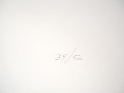 Oscari NIVESE : Jeu d'optique - Sérigraphie originale signée 2