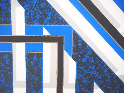 Oscari NIVESE : Jeu d'optique - Sérigraphie originale signée 2