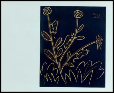 Pablo PICASSO (d’après) - Plante aux toritos, 1962 - Linogravure 2