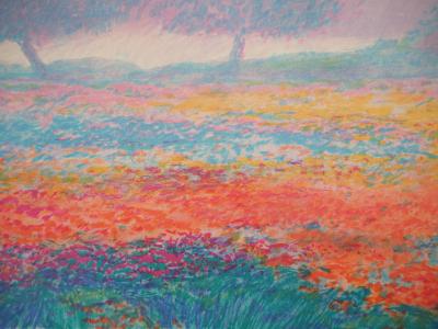 Claude MANOUKIAN - Normandie : Fin de journée de printemps - Lithographie originale, Signée 2