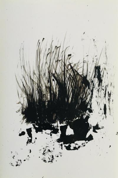 Philippe COGNEE - Broussailles, 2016 - Dessin signé 2