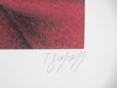 Antoine TZAPOFF - Chef indien, 2004 - Impression numérique signée au crayon 2