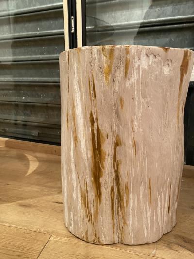 Trias -  Meuble sculpture - Bois pétrifié 2