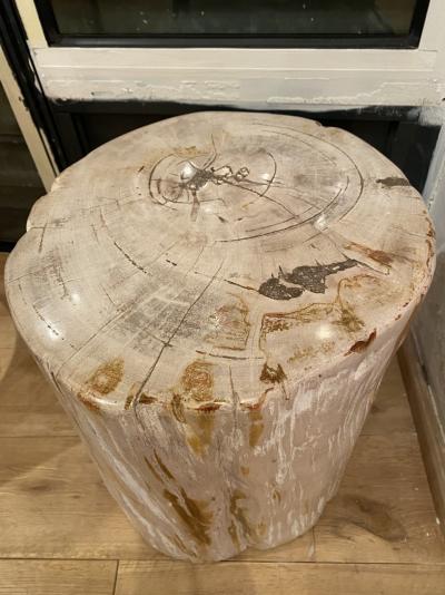 Trias -  Meuble sculpture - Bois pétrifié 2