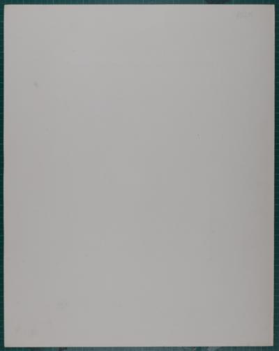 Amedeo MODIGLIANI (d’après) - Portrait de Jeanne Hébuterne, (1919), 1959 - Lithographie 2