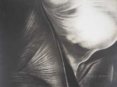 Jean-Luc FAUVEL : Paysage surréaliste (Trans VI), 1981 - Gravure Originale Signée 2