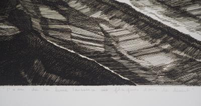 Françoise BRICAUT : L’Eau de la lune laissera ses plaques dans le désert, 1982 - Gravure Originale Signée 2