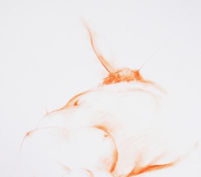 Jacqueline OBLIN - Femme nue allongée VII, 1992  - Dessin signé 2