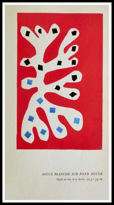 Henri MATISSE (d’après)  - Algue blanche sur fond rouge, 1953 - Pochoir 2