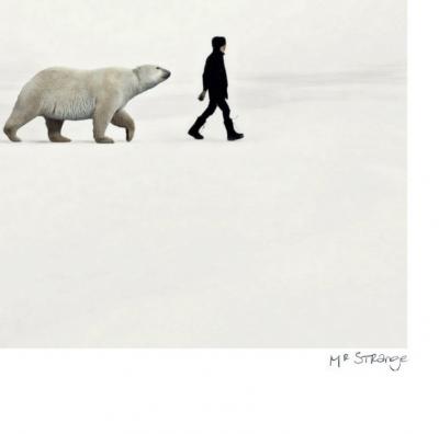 Mr Strange - Artic, 2019 - Sérigraphie signée au crayon 2