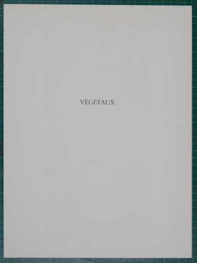 Henri MATISSE (d’après) - Végétaux, 1952 (1958) - Lithographie 2