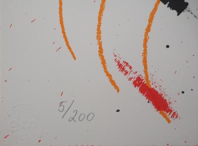 ARMAN : Violon éclatant - Sérigraphie originale signée au crayon 2