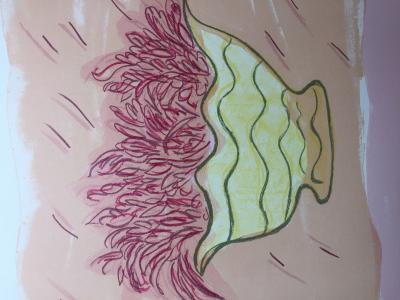 Maria GIRNONA - Bugenvillees, 1992 - Lithographie signée au crayon 2
