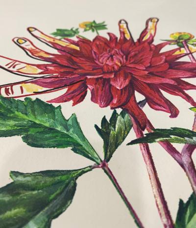 Salvador DALI - Dahlia Rapax, 1972 - Lithographie originale signée 2