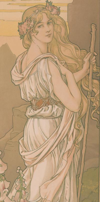 Elisabeth SONREL - Fleurs des Champs, v. 1901- Lithographie originale 2
