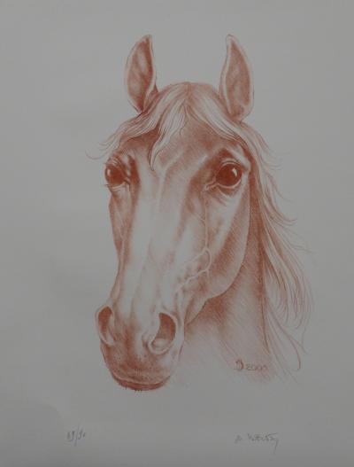 Marc DAUTRY  - Portrait de cheval de course, 2000 - Lithographie originale signée au crayon 2