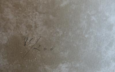 Gérard DARAN - Jacques Brel - Lithographie originale signée au crayon 2