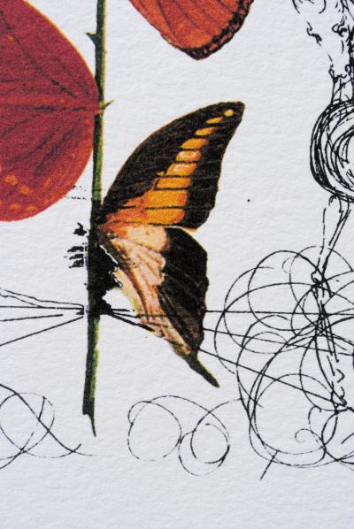 Salvador DALI (d’après) : Flordali -  La rose papillon, 1979 - Lithographie en édition limitée 2