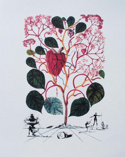 Salvador DALI (d’après) - Flordali -  Bégonia, 1979 - Lithographie, édition limitée 2