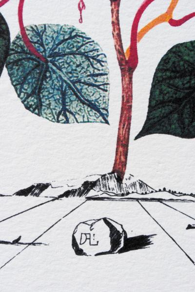Salvador DALI (d’après) - Flordali -  Bégonia, 1979 - Lithographie, édition limitée 2
