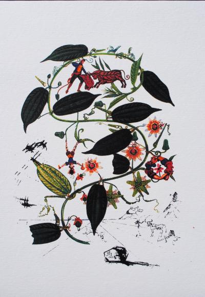 Salvador DALI (d’après) : Passiflore (Flordali) , 1979 - Lithographie signée 2