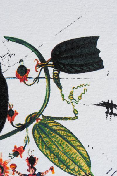 Salvador DALI (d’après) : Passiflore (Flordali) , 1979 - Lithographie signée 2