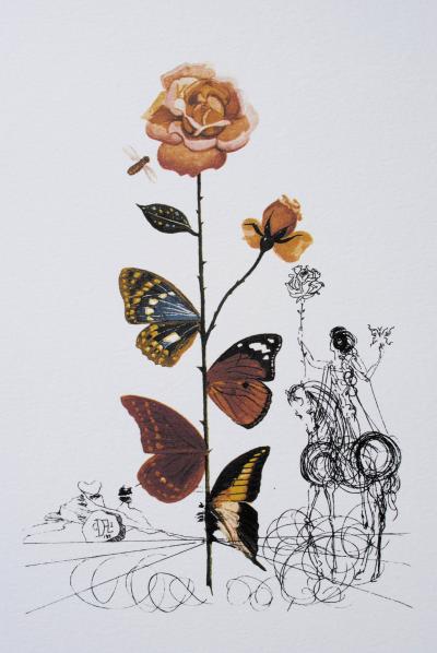 Salvador DALI (d’après) : Flordali -  La rose papillon, 1979 - Lithographie 2
