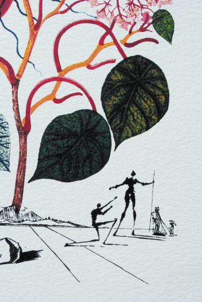 Salvador DALI : Le Bégonia, 1979, Lithographie signée 2