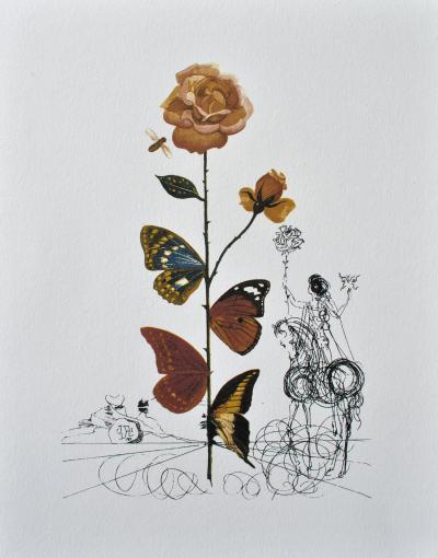 Salvador DALI : La rose papillon, 1979, Lithographie signée 2