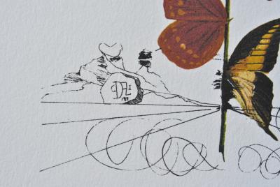 Salvador DALI : La rose papillon, 1979, Lithographie signée 2