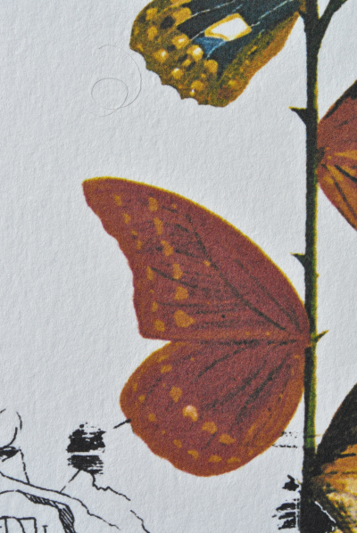 Salvador DALI : La rose papillon, 1979, Lithographie signée 2