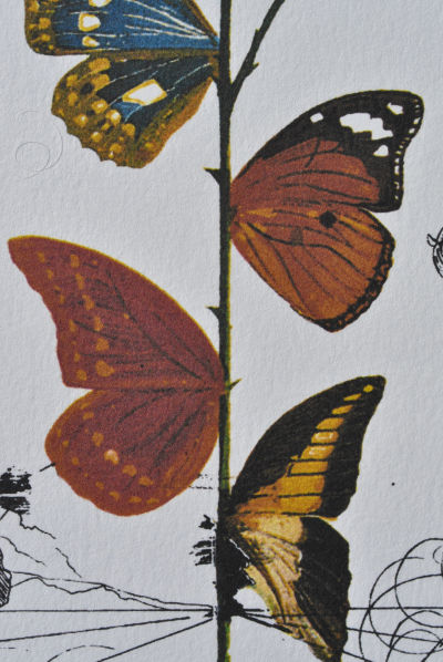 Salvador DALI : La rose papillon, 1979, Lithographie signée 2