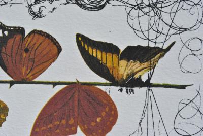 Salvador DALI (d’après) : Flordali -  La rose papillon, 1979 - Lithographie signée 2
